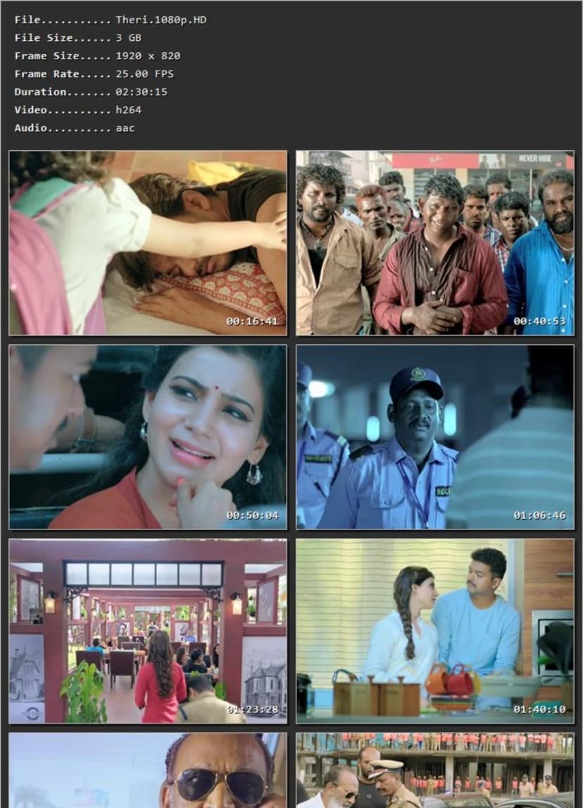 THERi (2016) [Hindi + Tamil] | HD MKV 480p 720p 1080p | HDRip