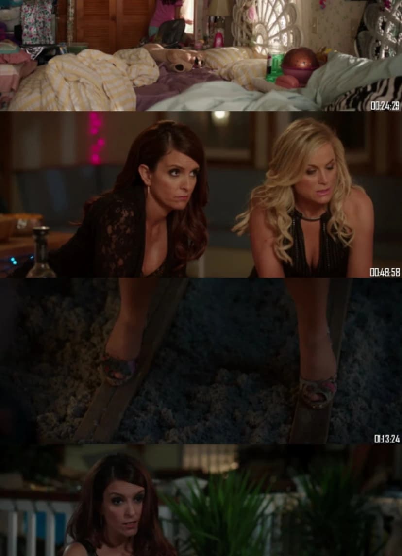 Sisters (2015) Hindi Dual Audio 1080p – 720p – 480p - HDRip 