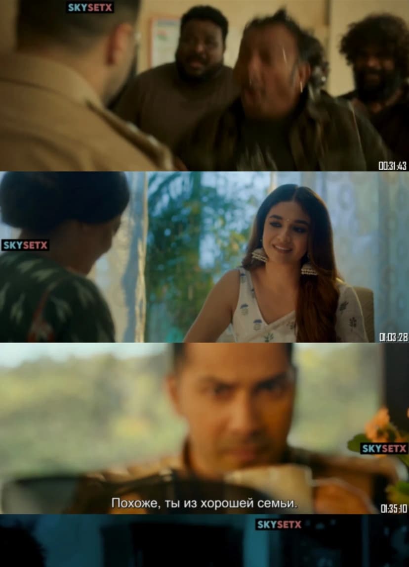 Baby John (2024) Hindi - HD 1080p 720p 480p HQ HDRip